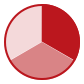 Pie chart icon